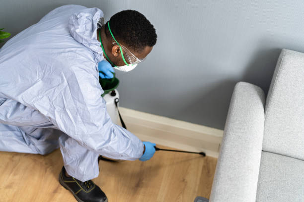 Emergency Pest Control Services in Wasco, CA